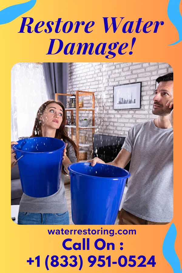 water restoration Pro Sewage Cleanup Experts Rothbury