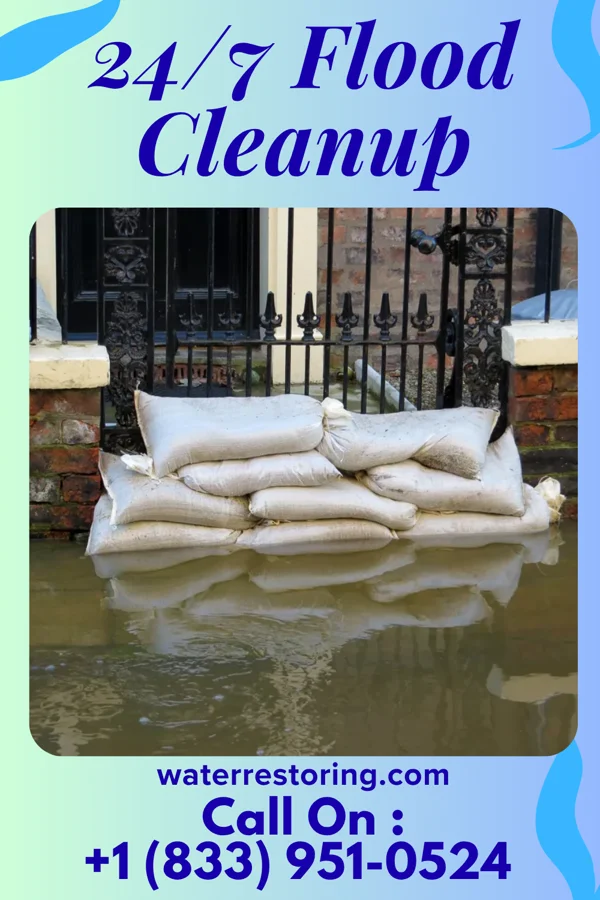 24/7 Flood Cleanup in Rothbury, MI