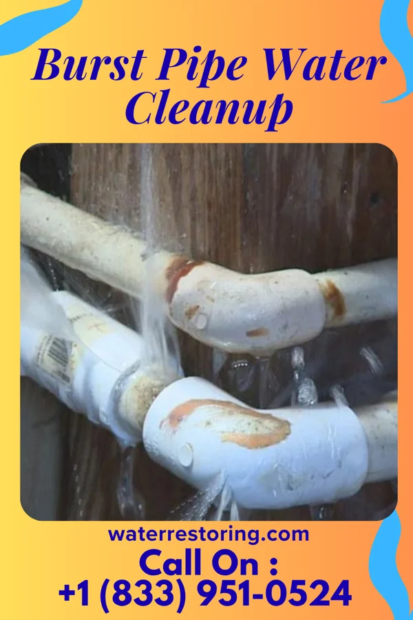Burst Pipe Water Cleanup in Rothbury, MI