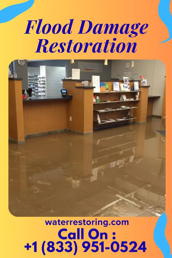 Flood Damage Restoration in Rothbury, MI