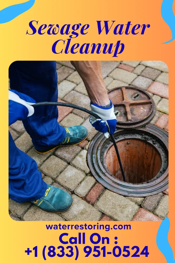 Sewage Water Cleanup in Rothbury, MI